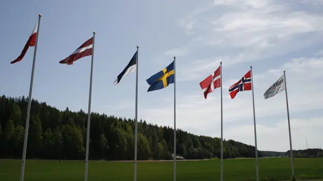 Flag fra de forskellige medlemslande af koncernen